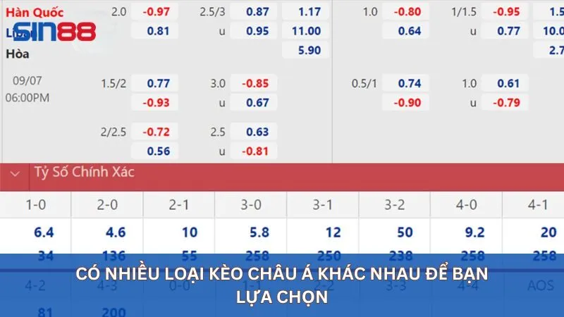 Có nhiều loại kèo châu Á phổ biến hiện nay