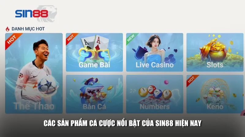 Các sản phẩm cá cược nổi bật của sin88 hiện nay