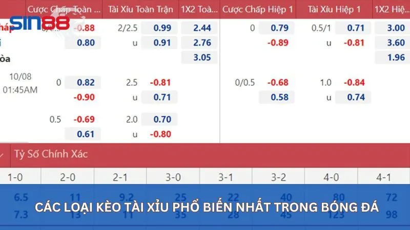 Các loại kèo tài xỉu phổ biến trong bóng đá